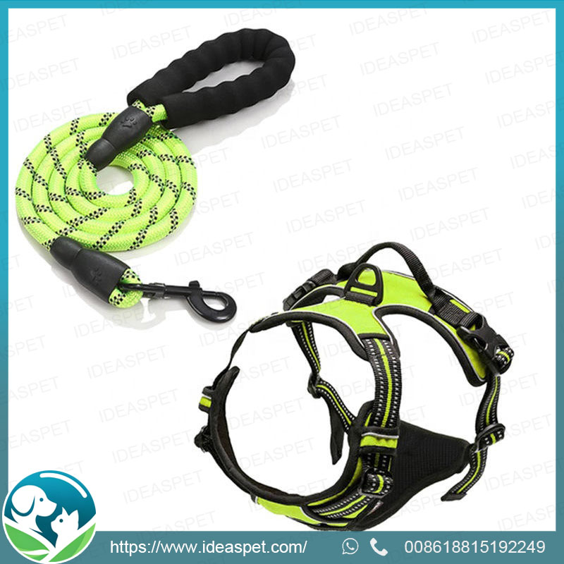 Premium Reflective Dog Leash and Harness Set for Safety and Style