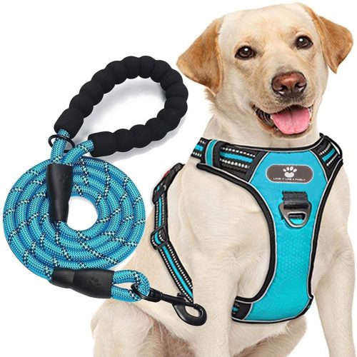 Premium Reflective Dog Leash and Harness Set for Safety and Style