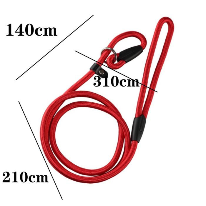 Durable Nylon Slip Lead Dog Leash - Wholesale Customizable Adjustable Pet Leash