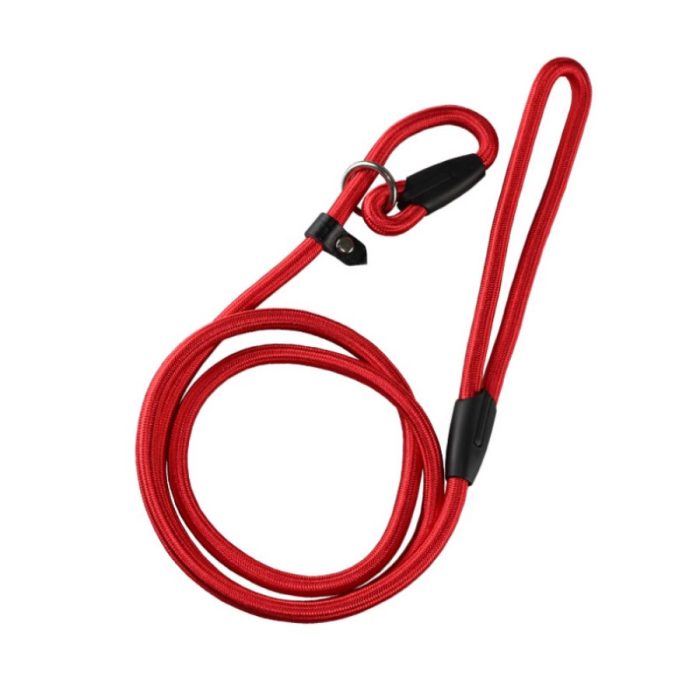 Durable Nylon Slip Lead Dog Leash - Wholesale Customizable Adjustable Pet Leash