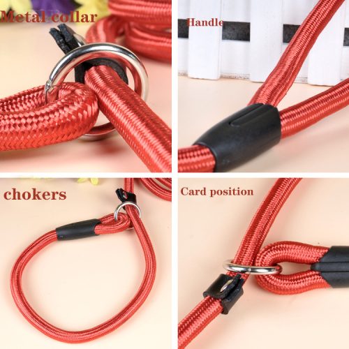 Durable Nylon Slip Lead Dog Leash - Wholesale Customizable Adjustable Pet Leash