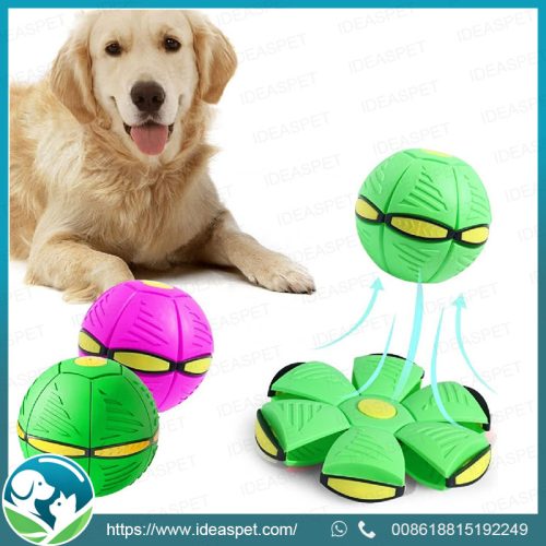 Magic Pet Dog Toy Flying Saucer - Interactive & Durable Pet Training Toy for Wholesale