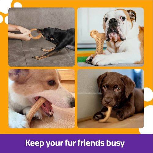 Durable Dog Molar Stick Chew Bones | Clean Teeth & Fresh Breath | Wholesale Supplier